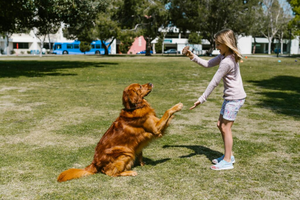 training your puppy to greet calmly