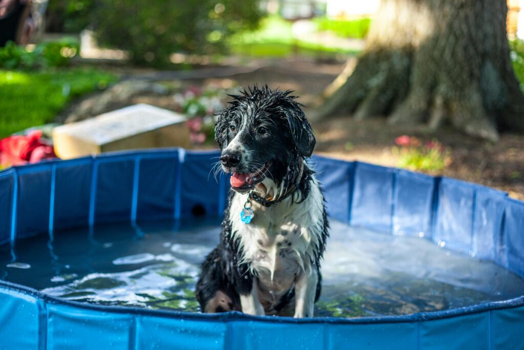 bathing routine