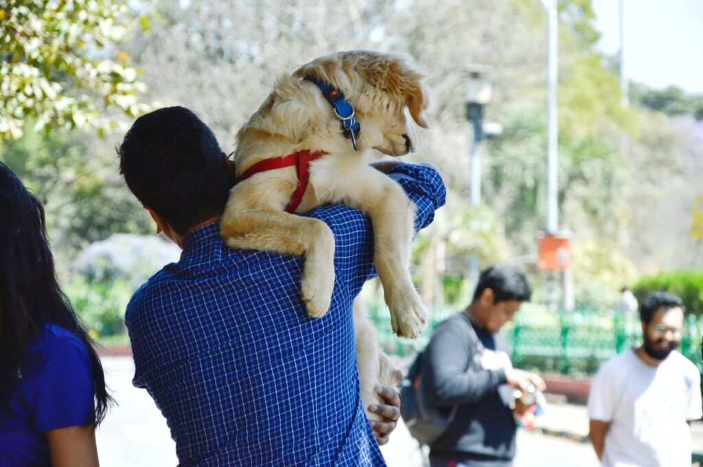 Socializing Your Puppy