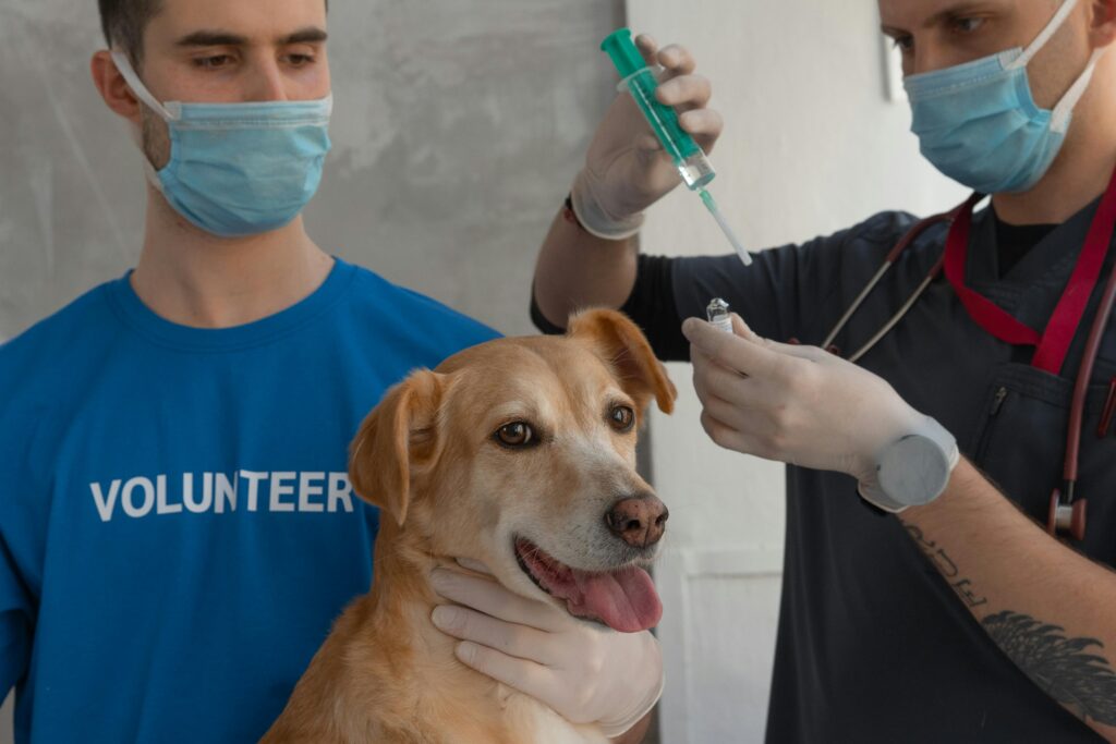Affordable Puppy Vaccination Clinics in Houston