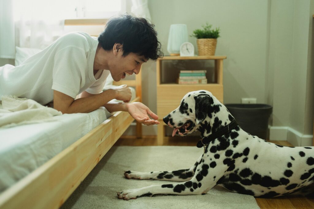 How to Start Puppy Training at Home