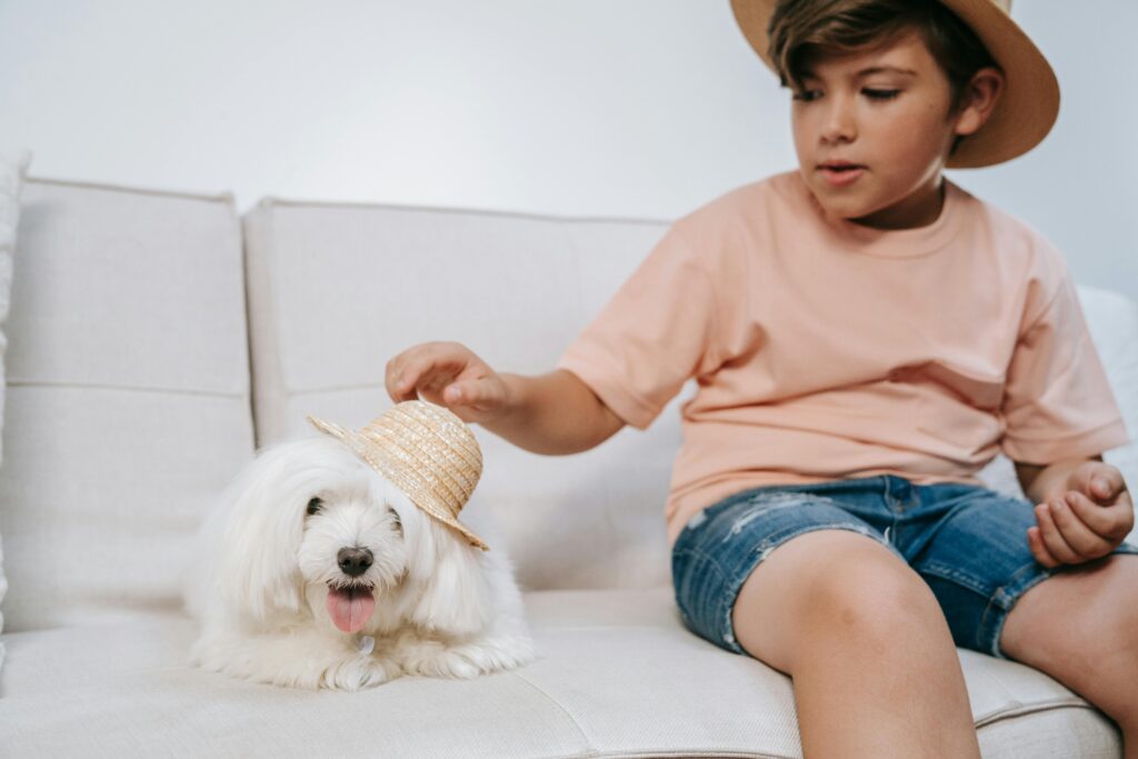 How to Keep Your Puppy Entertained Indoors During Hot Texas Summers