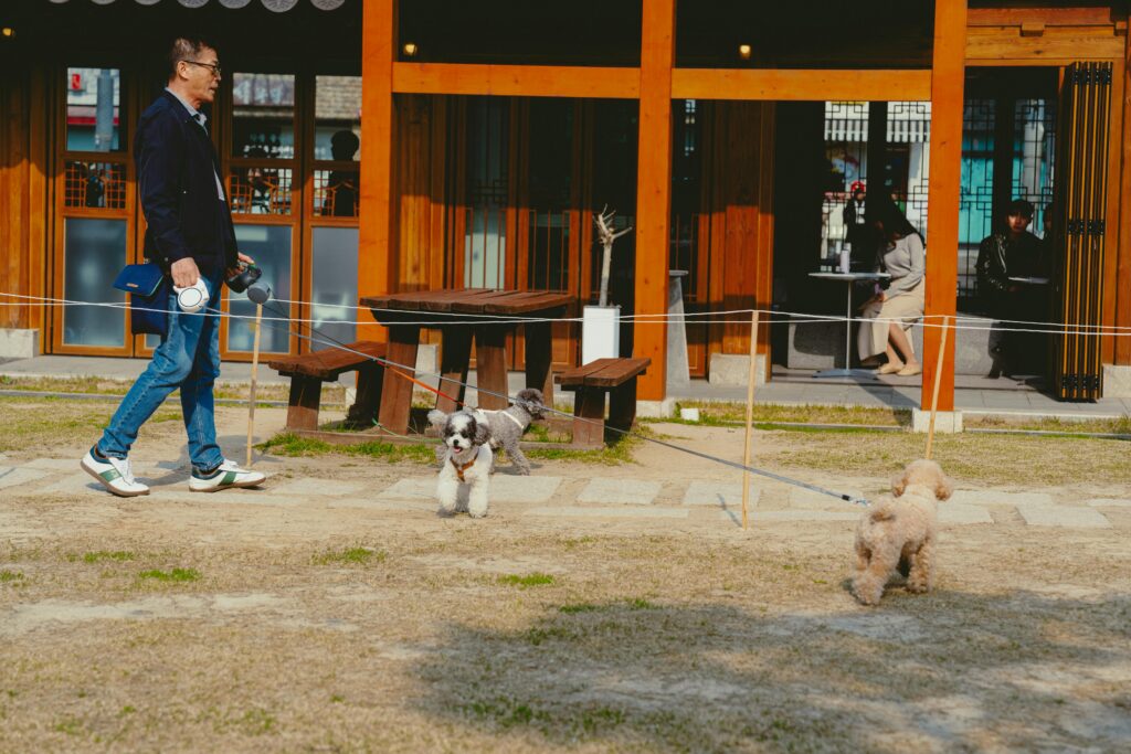 How to Socialize Your Puppy with People and Other Dogs