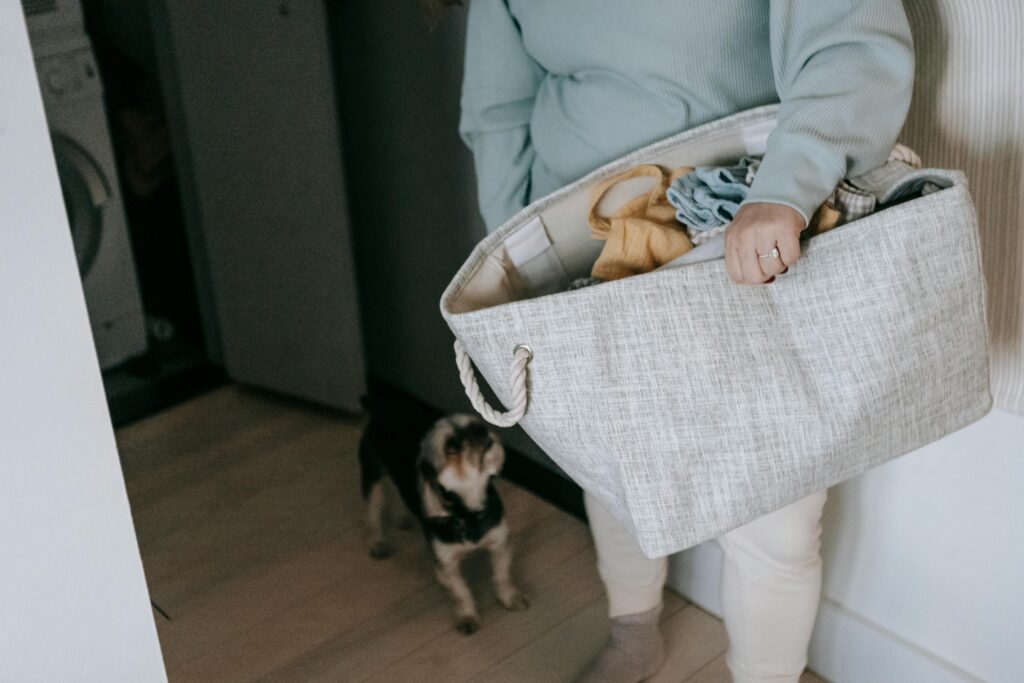 Best Puppy-Proofing Tips for Apartments in Dallas and Houston