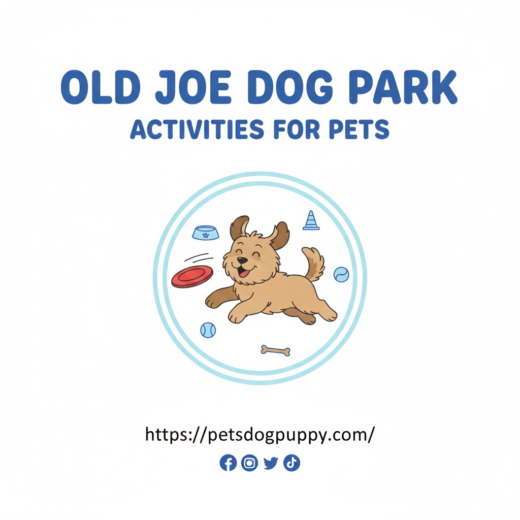 Old Joe Dog Park Activities for Pets