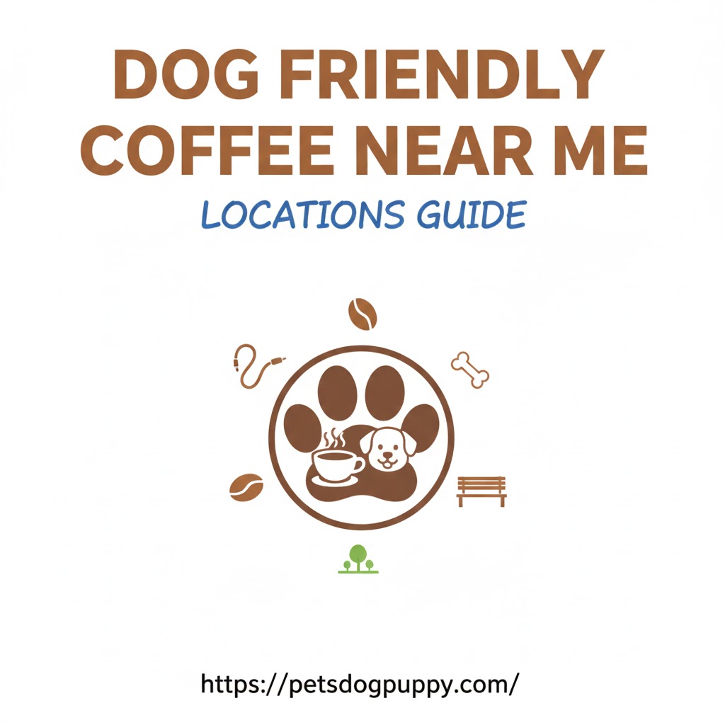 Dog Friendly Coffee Near Me Locations Guide