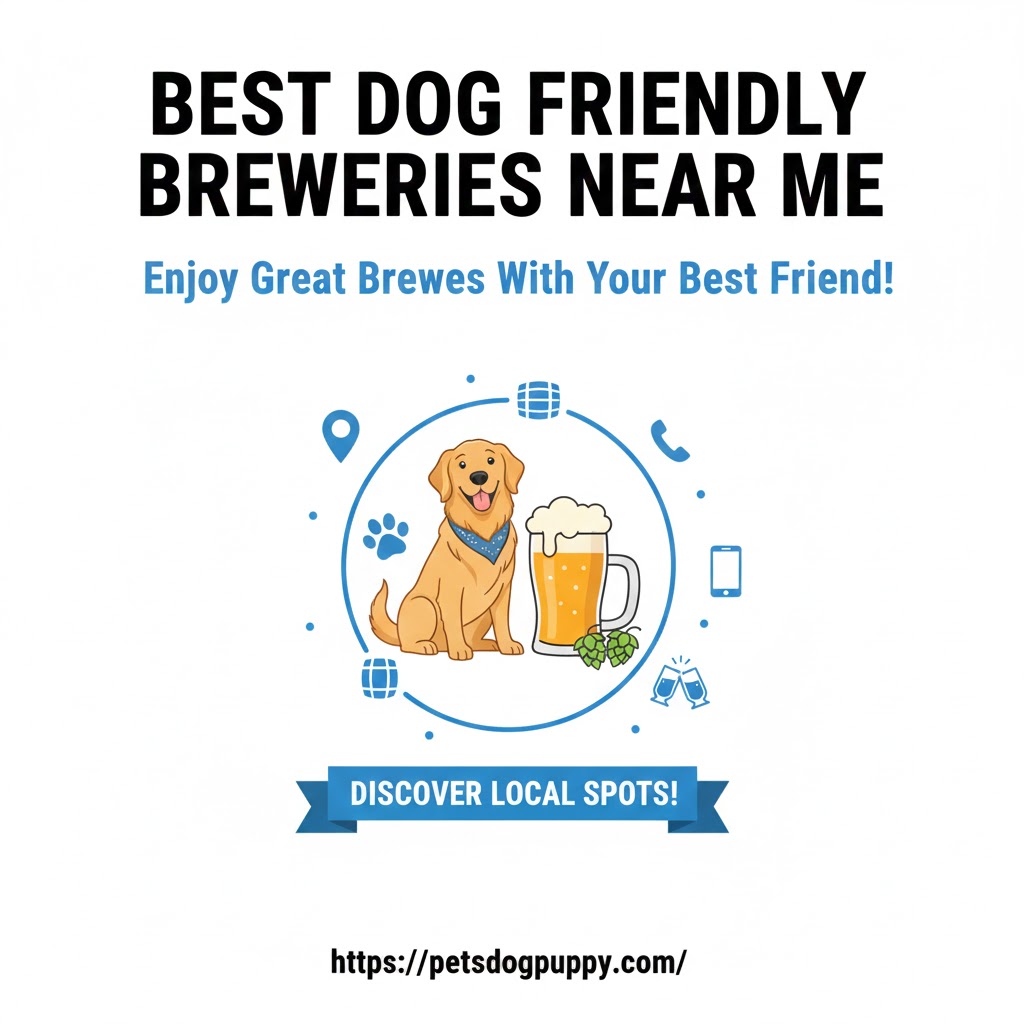 Best Dog Friendly Breweries Near Me